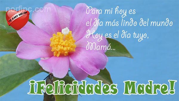 ¡Felicidades Madre! Para mi hoy es el día más lindo del mundo…