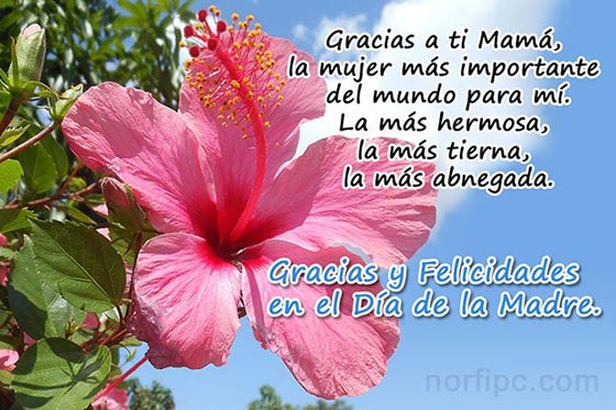 Gracias y Felicidades en el Día de la Madre.