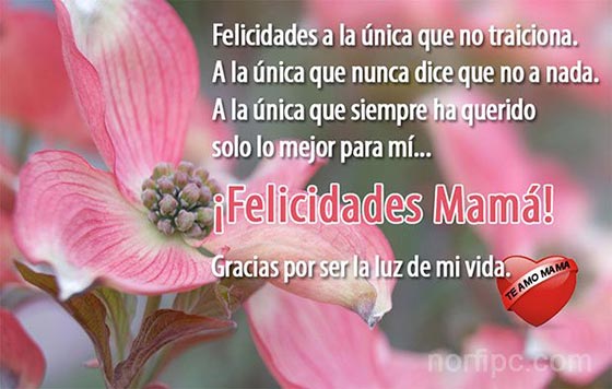 ¡Felicidades Mamá! Gracias por ser la luz de mi vida.