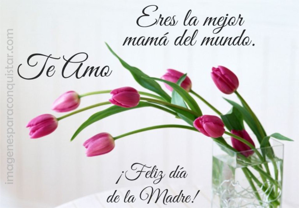 Eres la mejor mamá del Mundo. Te Amo ¡Feliz día de la Madre!