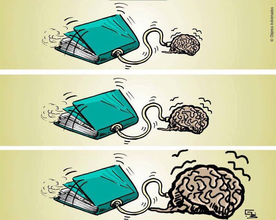 Libros y cerebro