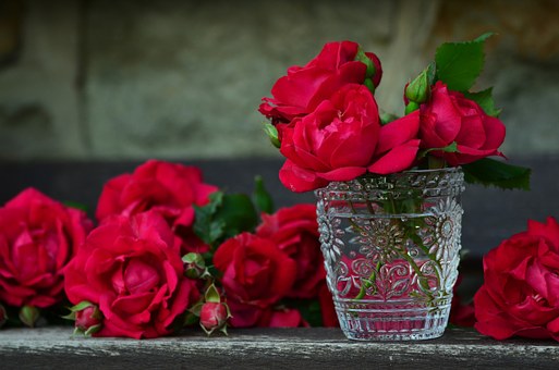 ¿Qué recipientes y soportes usar para Flores y Plantas?