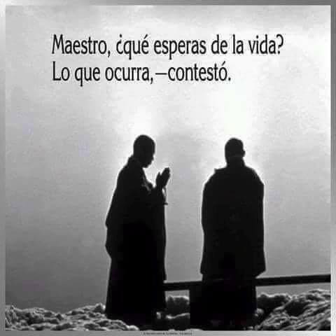 Maestro ¿Qué esperas de la vida? Lo que ocurra -contestó-