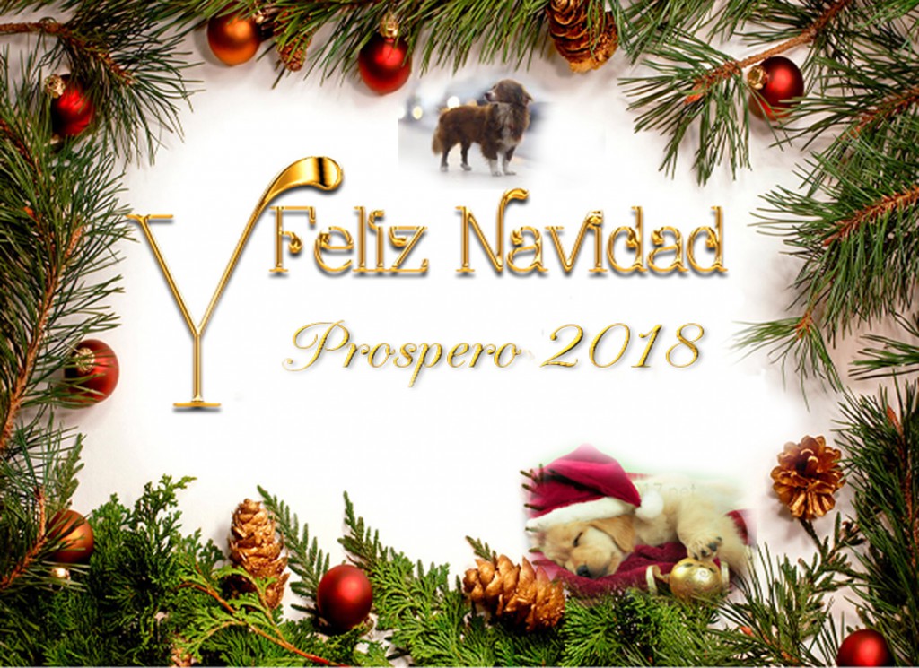 Feliz Navidad y Próspero Año 2018.