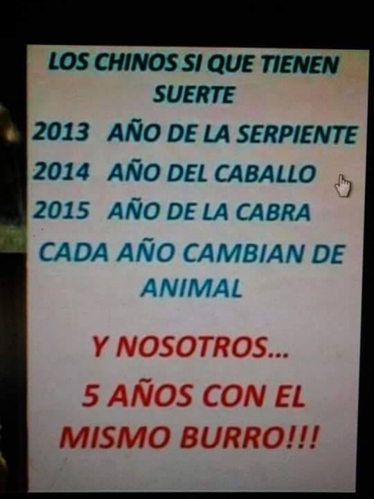 Los Chinos si que tienen suerte. ...y nosotros... 5 años con el mismo burro!!!