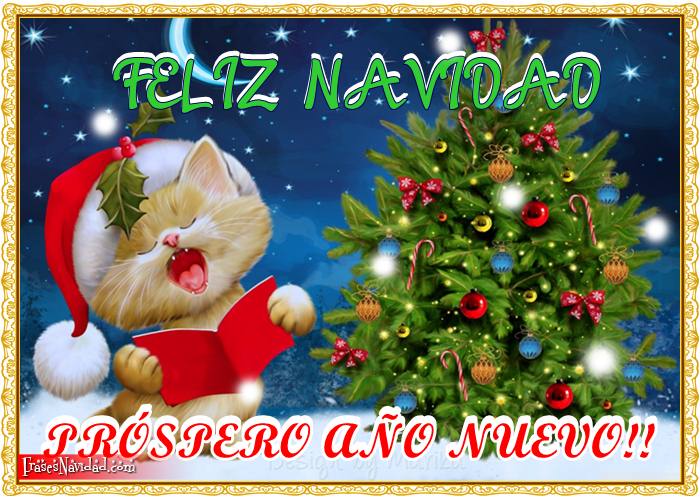 Feliz Navidad y Próspero Año Nuevo