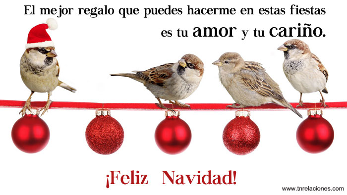 El mejor regalo que puedes hacerme en estas fiestas