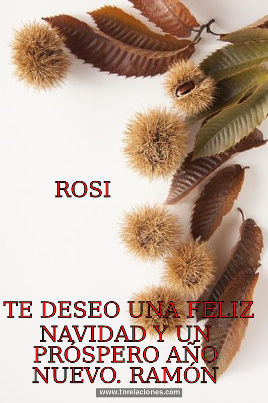 Feliz Navidad y Próspero Año Nuevo