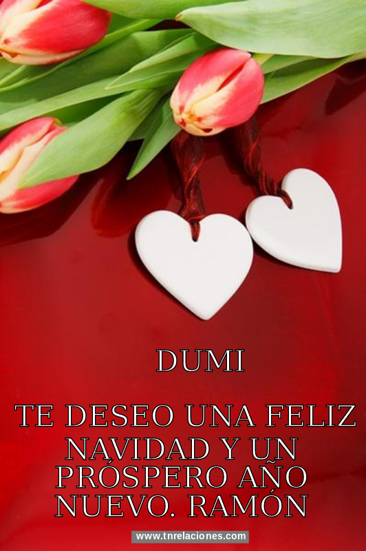 Feliz Navidad y Próspero Año Nuevo