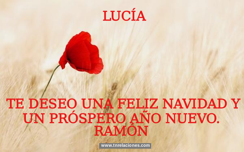 Feliz Navidad y Próspero Año Nuevo