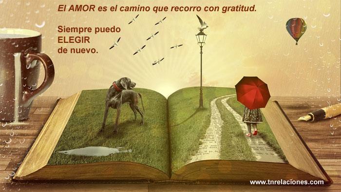 El Amor es el camino que recorro con gratitud. UCDM