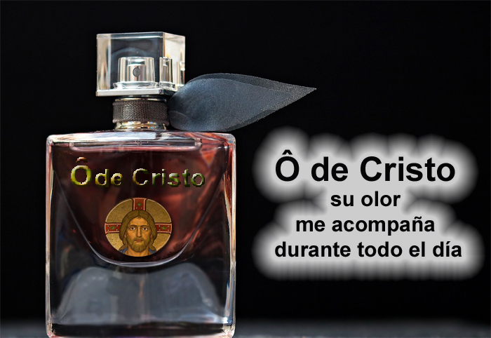 Cristo me acompaña durante todo el día