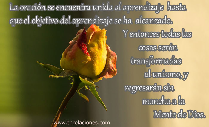 La oración se encuentra unida al aprendizaje hasta que el objetivo del aprendizaje se ha alcanzado. Y entonces todas las cosas serán transformadas al unísono, y regresarán sin mancha a la Mente de Dios.