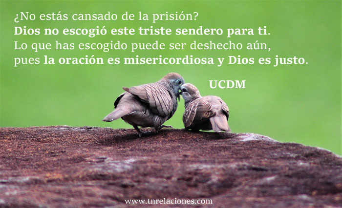 La Voluntad de Dios es la verdad, y tú eres uno con Él en Voluntad y propósito. Aquí se acaban todos los sueños.