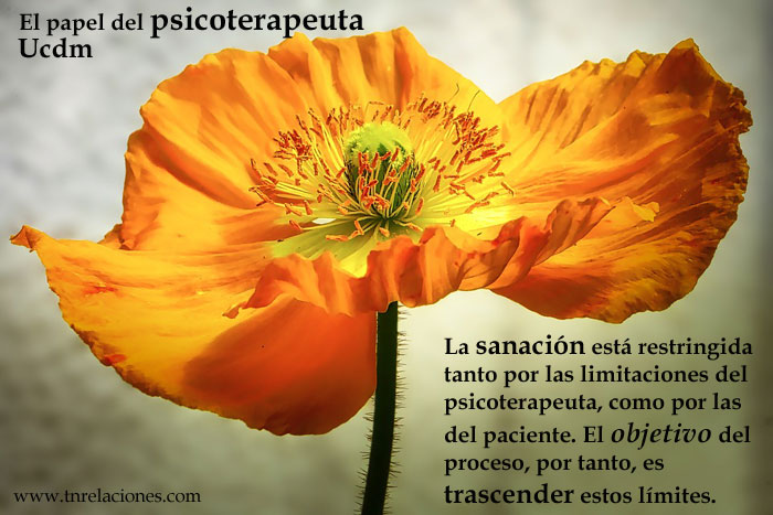 La sanación está restringida tanto por las limitaciones del psicoterapeuta, como por las del paciente. El objetivo del proceso, por tanto, es trascender estos límites