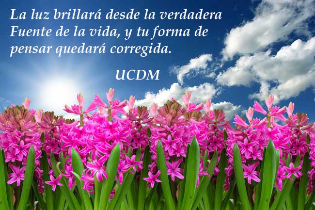 La luz brillará desde la verdadera Fuente de la vida, y tu forma de pensar quedará corregida.