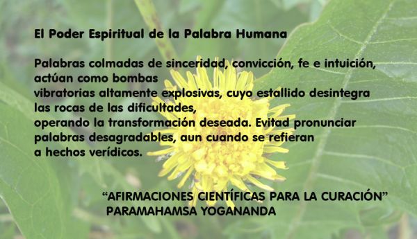 El poder espiritual de la palabra humana. Palabras colmadas de sinceridad, convicción, fe e intuición actúan como bombas... Paramahansa Yogananda