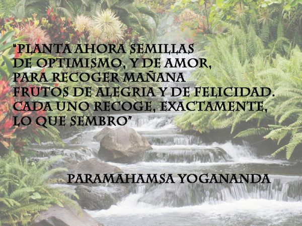 Planta ahora semillas de optimismo y de amor