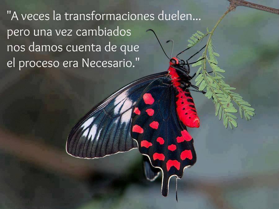 El proceso de transformación duele pero es necesario