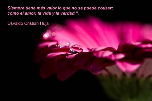 Siempre tiene más valor lo que no se puede cotizar; como el amor, la vida y la verdad. Osvaldo Cristian Huja