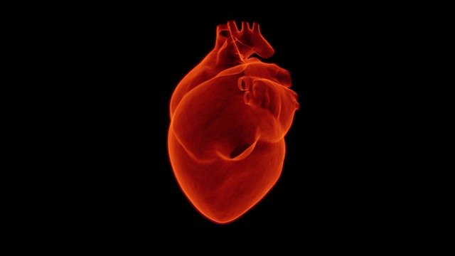 ¿Cómo convivir con el infarto de miocardio?