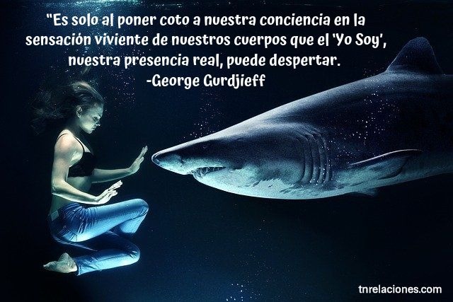 Es solo al poner coto a nuestra conciencia…