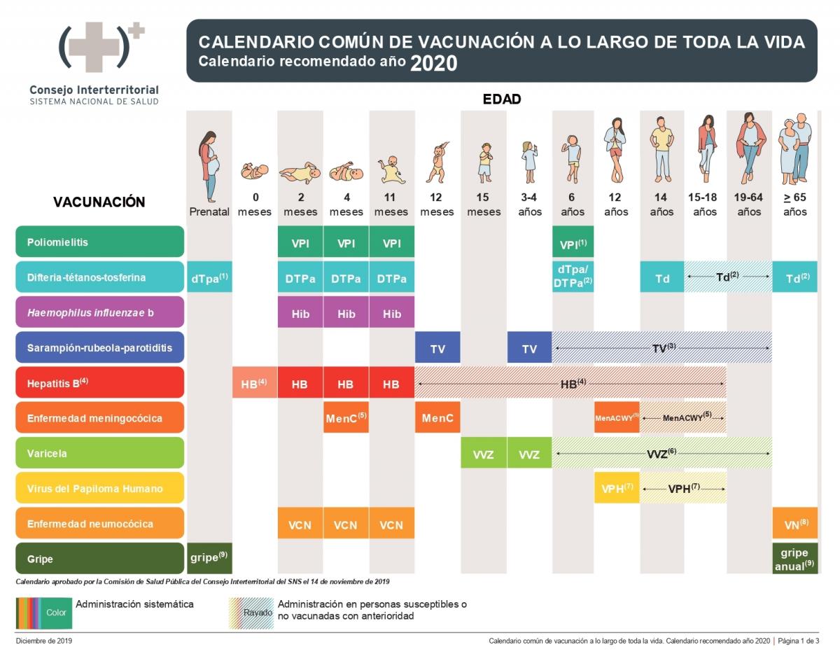 calendario-vacunal