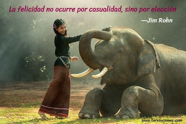 La felicidad no ocurre por casualidad…