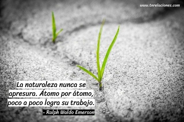 La naturaleza nunca se apresura…