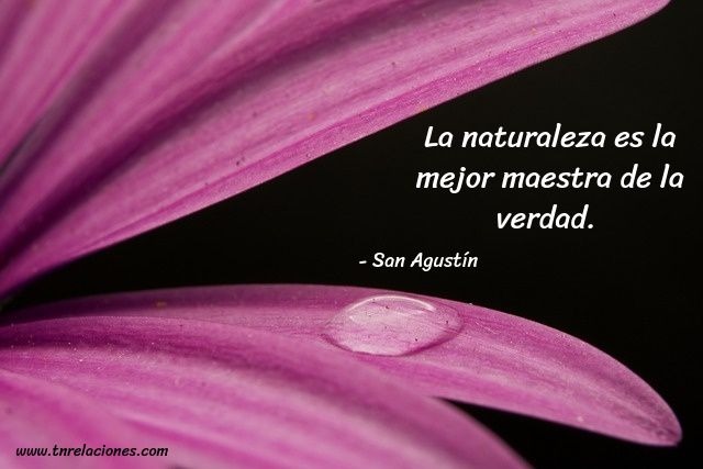 La naturaleza es la mejor maestra… San Agustín