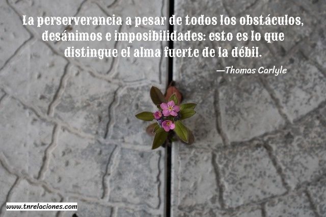 La perseverancia a pesar de todos los obstáculos... Thomas Carlyle