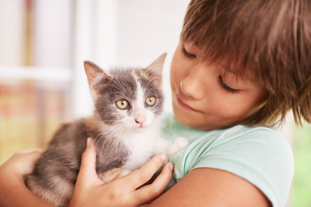 Bebés: Cómo evitar la toxoplasmosis