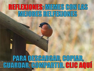 Reflexiones memes frases