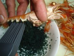 Mantequilla de huevas de cigala Mantequilla de huevas de cigala