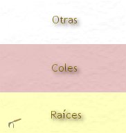 ¿Se debe cultivar una hortaliza en el mismo sitio año tras año?