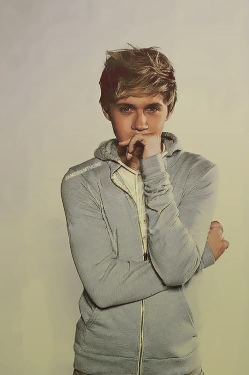 Niall James Horan Signo del Horoscopo Virgo