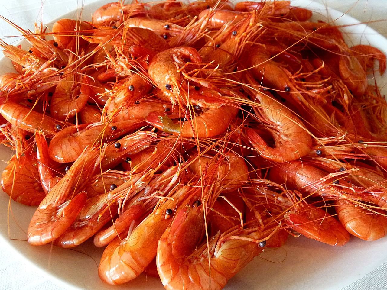 Camarones y Gambas Alimento exquisito del Mar o Rio