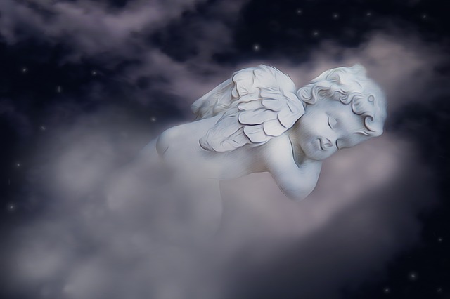 angel angel