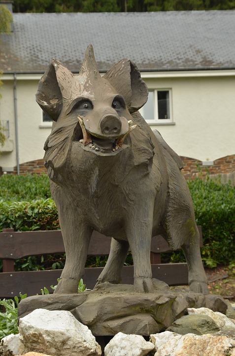 Horoscopo Chino las personas Jabali