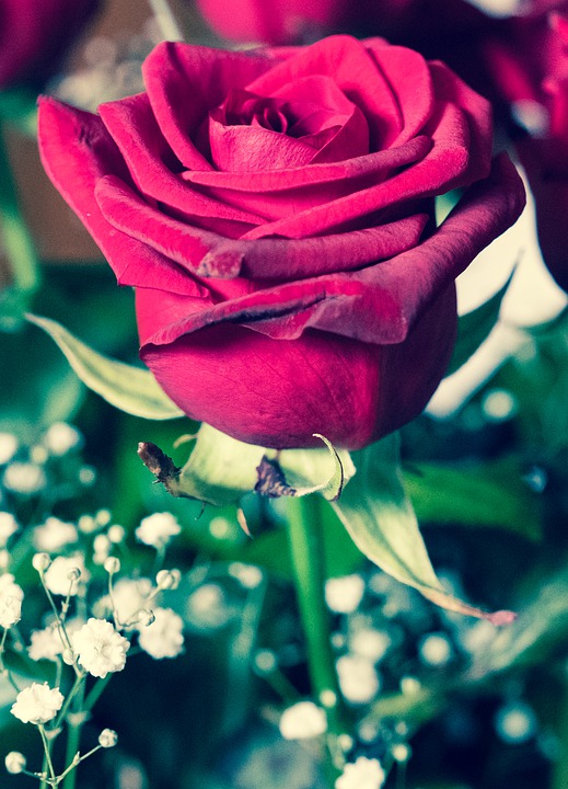 Géminis. Zodiaco del amor. ¿Cómo son en el Amor?