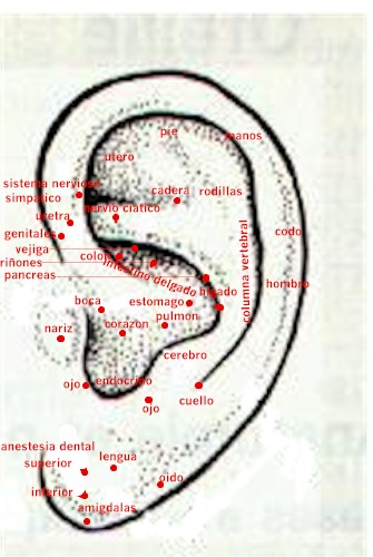 ¿Qué es y para qué sirve la Auriculoterapia y cuáles son sus beneficios?