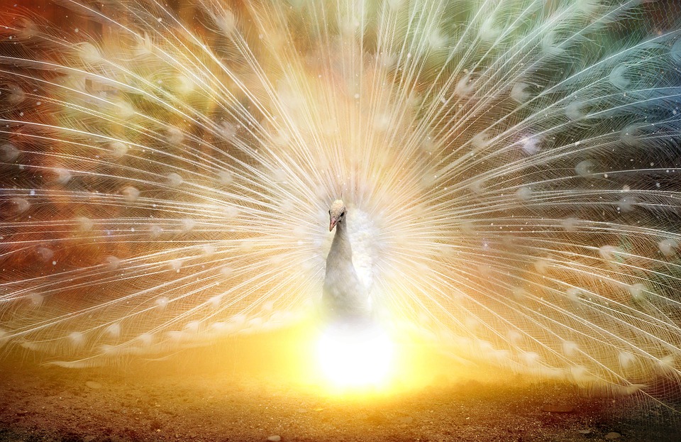 Otro concepto de Feng Shui