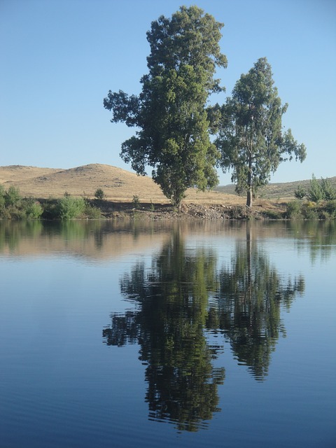 Aplicaciones medicinales de los aceites esenciales