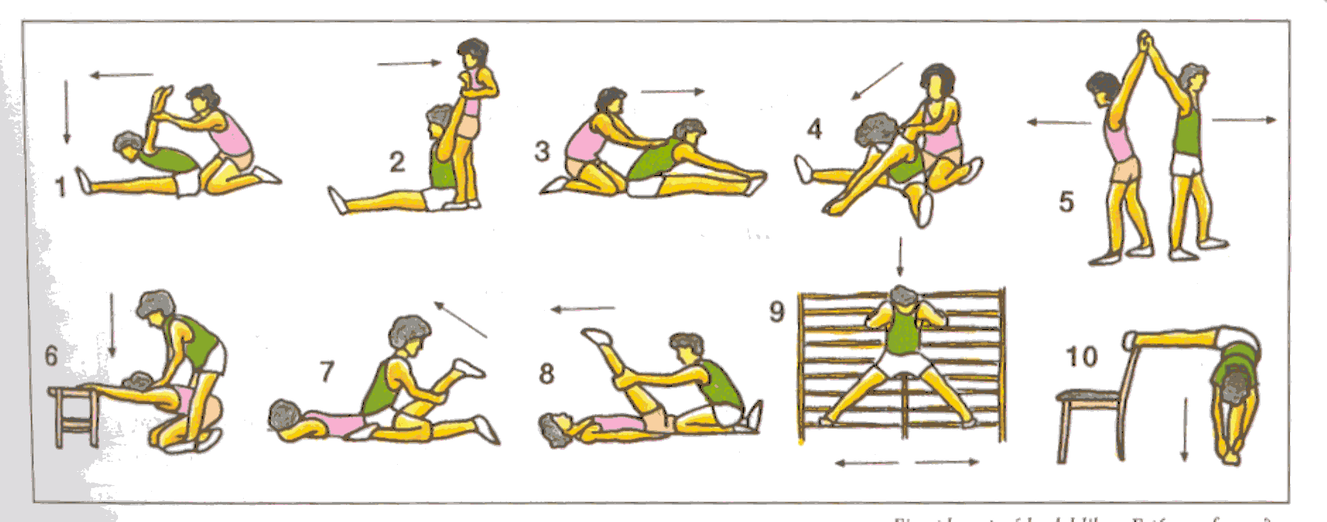 Flexibilidad