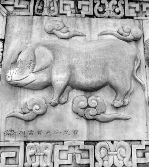 cerdo-horoscopo-chino