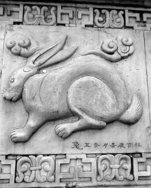 conejo-horoscopo-chino