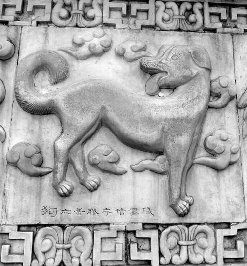 perro-horoscopo-chino