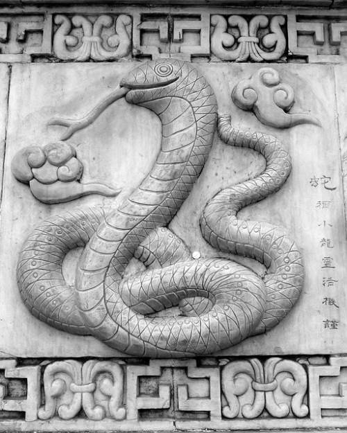 serpiente-horoscopo-chino