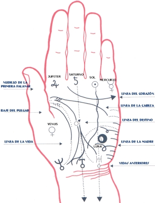 El mapa de las manos, líneas - TnRelaciones La vida misma