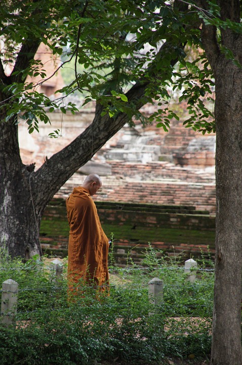 Hechos históricos y biográficos de Sidarta Gautama Sakiamuni